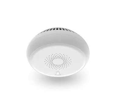 Fire-Detection